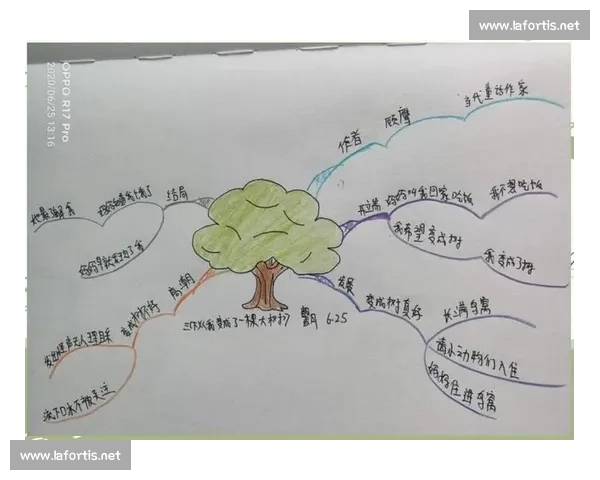 以呼吸节奏感受生命律动与身心和谐的奥秘探索